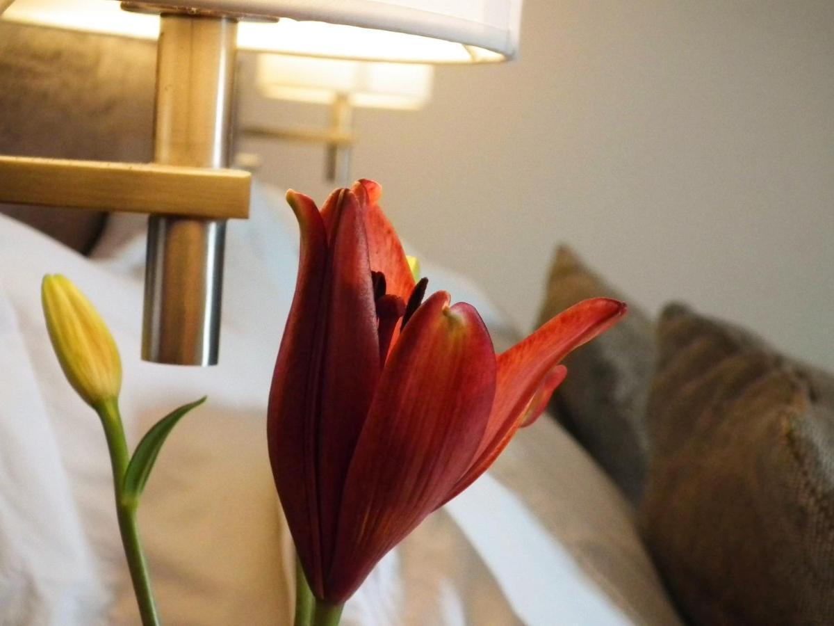 Hotel K Bahia Inglesa Ngoại thất bức ảnh